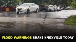 Knoxville Weather Brings Heavy Rain and Flood Risk