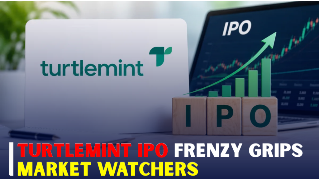 Turtlemint Fintech IPO GMP