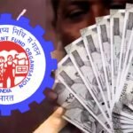 EPFO Interest Credited on July 15 as 34 Crore Account Holders Check Latest PF Balance Update