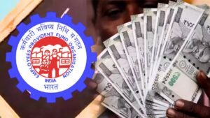 EPFO Interest Credited on July 15 as 34 Crore Account Holders Check Latest PF Balance Update