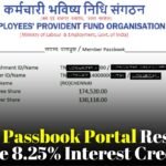 EPFO Passbook Portal Restored Before 8.25% Interest Credit as Members Can Log In Again